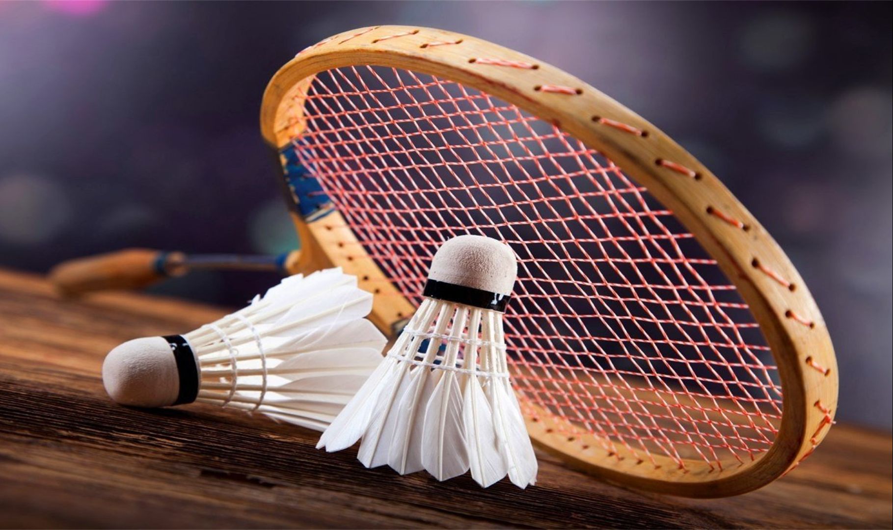 0战胜了顽 0战胜了顽